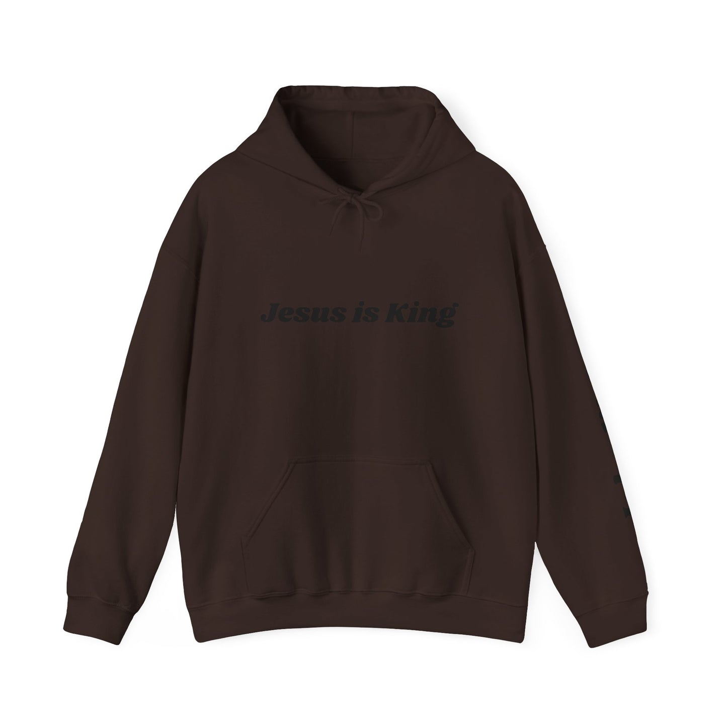 Adult Unisex - Jesus is King Hoodie, John 14:6 Sleeve