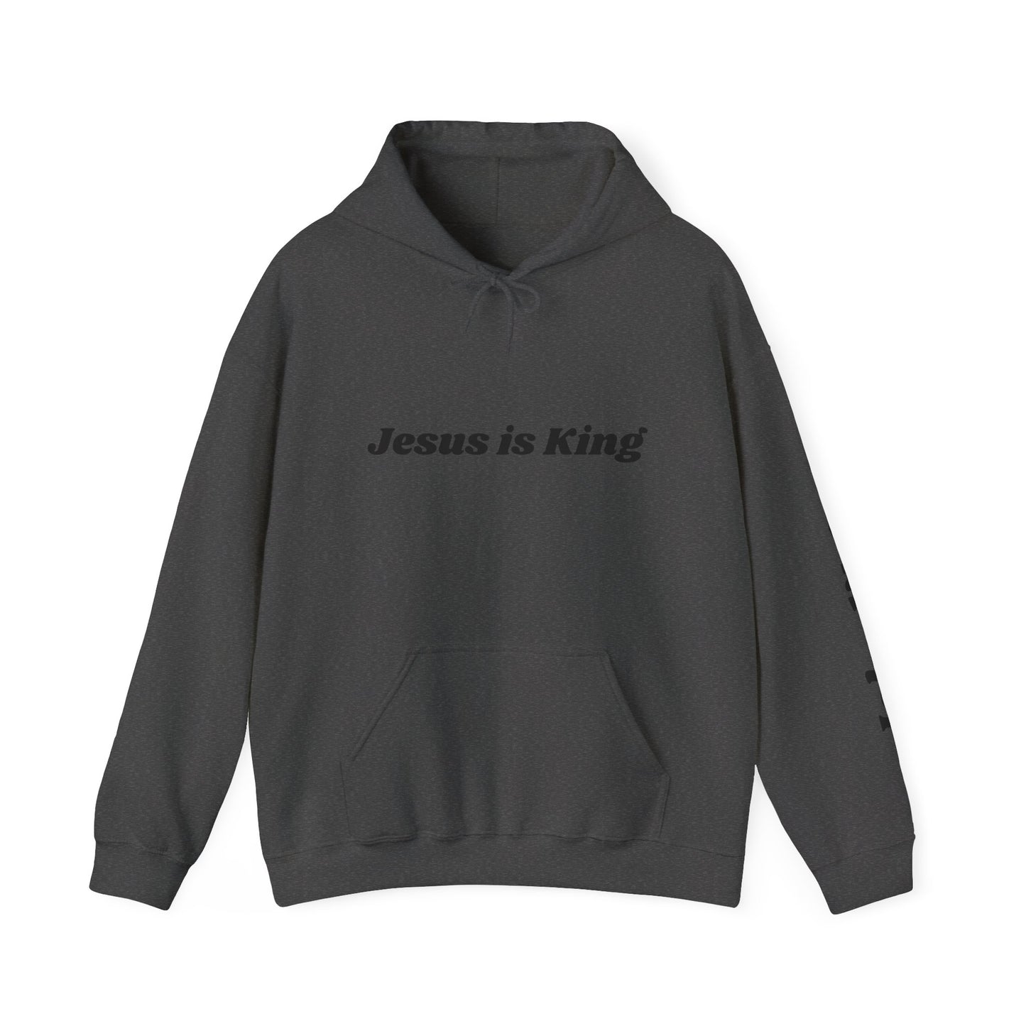 Adult Unisex - Jesus is King Hoodie, John 14:6 Sleeve