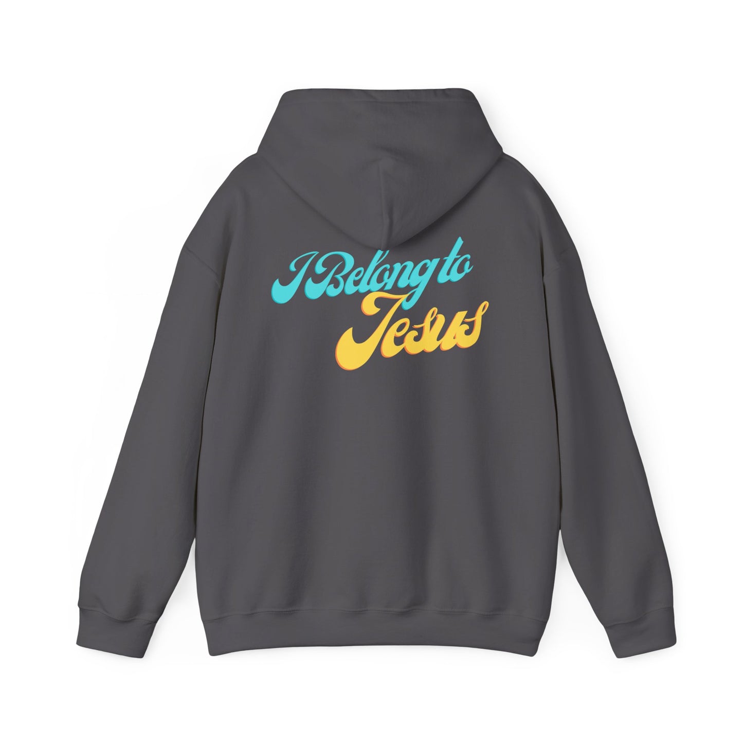 Adult Unisex - I Belong to Jesus Hoodie